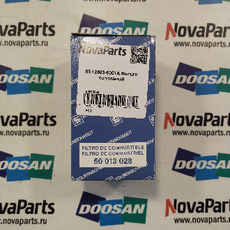 50013028