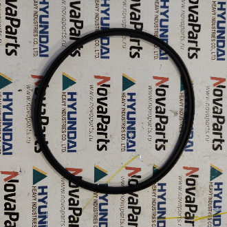 ZGAQ-02924 Кольцо (2)