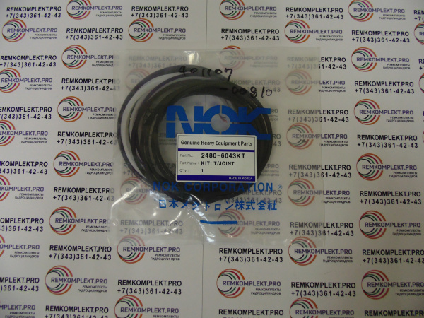 2480-6043KT 401107-00810 (3)