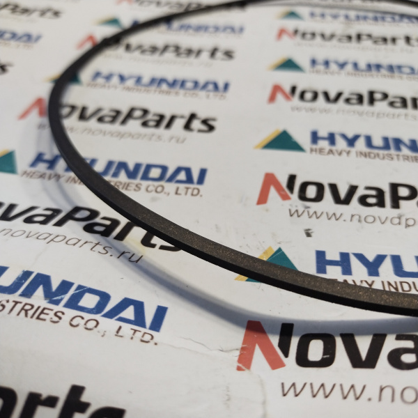 ZGAQ-02923 Кольцо 1