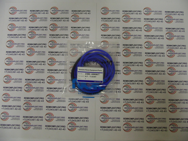 2480-6060KT 401107-00919