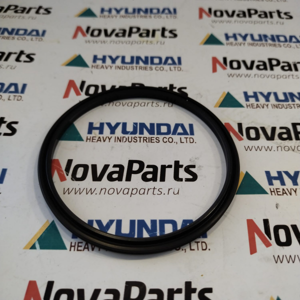 ZGAQ-00975-0501-312-498-Prokladka (3)