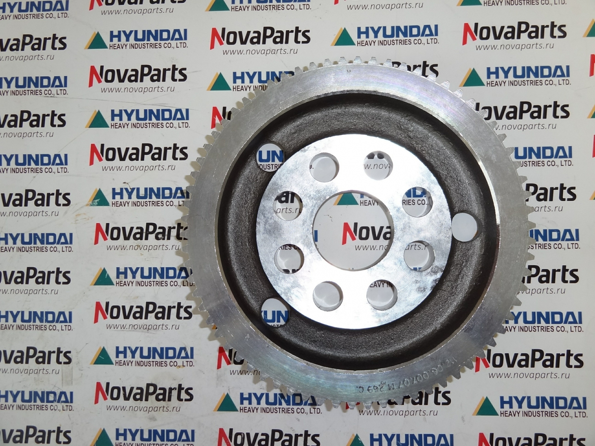 shesternya-solnechnaya-ztam-00070 (5)