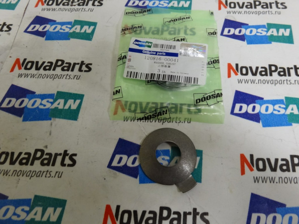 shajba-120816-00041 (4)