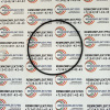 ZGAQ-02210 Кольцо WYS (2)