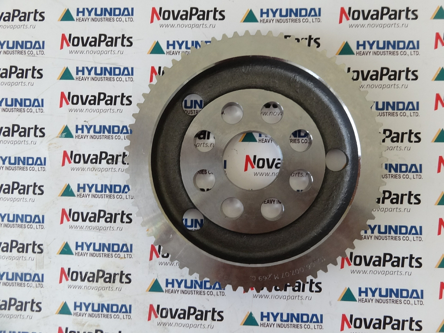 shesternya-solnechnaya-ztam-00070 (4)