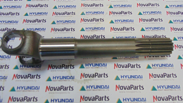 poluos-korotkaya-ZGAQ-02895