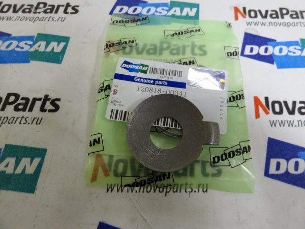 shajba-120816-00041 (3)