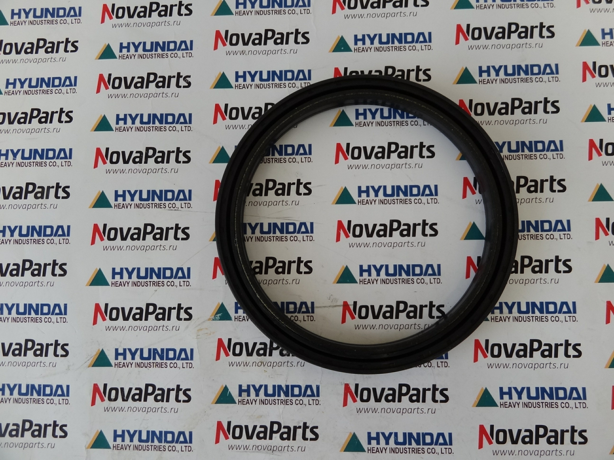 salnik-ztam-00064 (3)